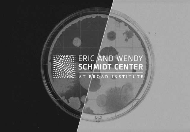 Computer vision in healthcare