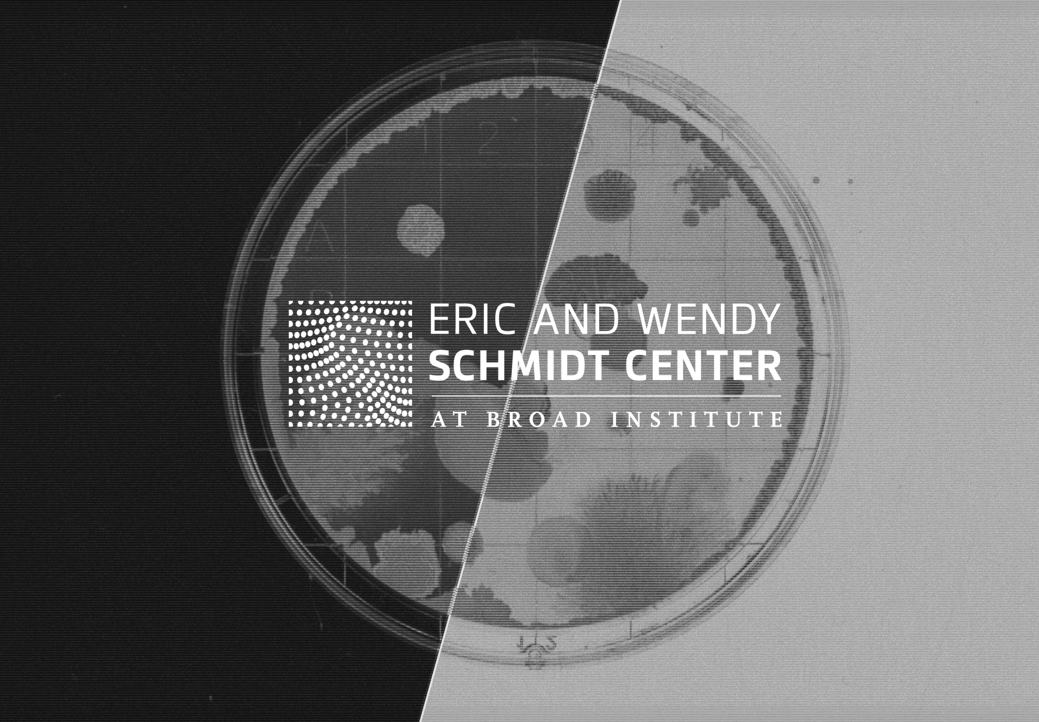 Computer Vision in Healthcare